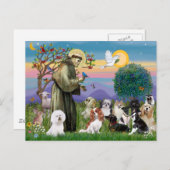 Saint Francis met 10 honden Briefkaart (Voorkant / Achterkant)