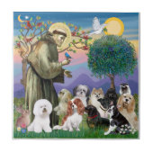 Saint Francis met 10 honden Tegeltje (Voorkant)