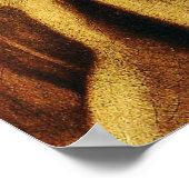 Saint Francis of Assisi by Caravaggio Poster (Hoek)