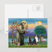 Saint Francis - Two Bernese Mountain Dogs Briefkaart (Voorkant / Achterkant)