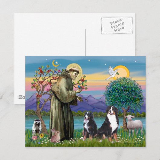 Saint Francis - Two Bernese Mountain Dogs Briefkaart (Voorkant / Achterkant)