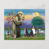 Saint Francis - Two Bernese Mountain Dogs Briefkaart (Voorkant)