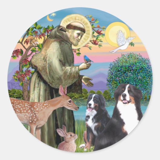 Saint Francis - Two Bernese Mountain Dogs Ronde Sticker (Voorkant)