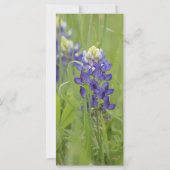 Saint Francis van Assisi Prayer Kaart (Achterkant)