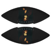 Saint Francis van Paola American Football (Panelen)