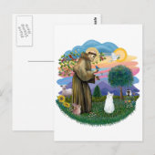 Saint Francis - Witte Kat (Amerikaans SH) Briefkaart (Voorkant / Achterkant)