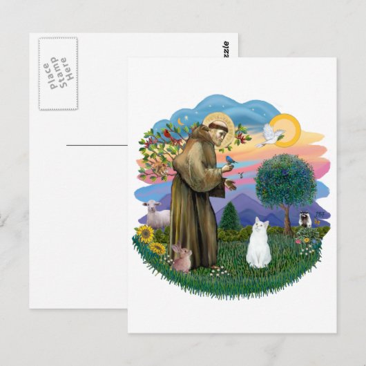 Saint Francis - Witte Kat (Amerikaans SH) Briefkaart (Voorkant / Achterkant)