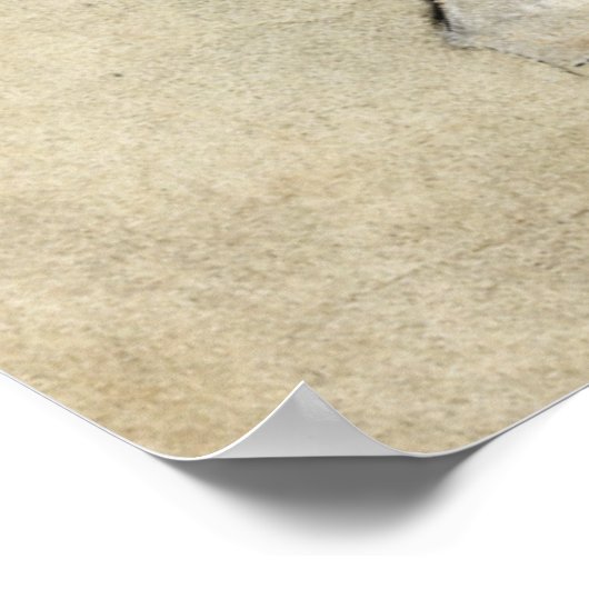 Saint Hedwig Poster (Hoek)