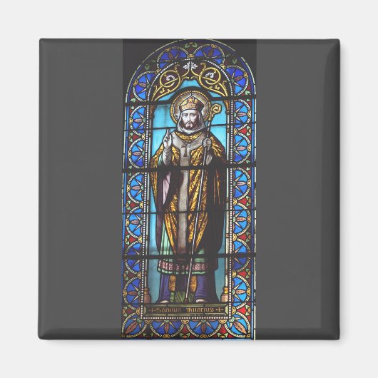 Saint Hilary of Poitiers Magneet (Voorkant)