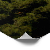 Saint-Jean-Pet-Ferrat Poster (Hoek)