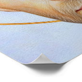 Saint John of Kanty: The Humble Scholar Poster (Hoek)