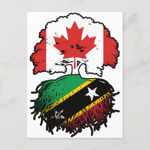 Saint Kitts Kittitian Canadian Canada Tree Roots Briefkaart