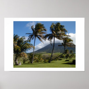 Saint Kitts Plantation Poster