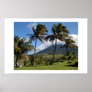 Saint Kitts Plantation Poster