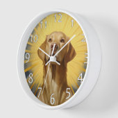 Saint Labrador retriever (Hoek)