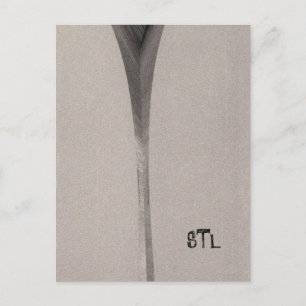 Saint Louis Arch Briefkaart
