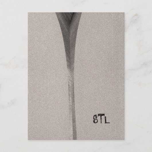 Saint Louis Arch Briefkaart (Voorkant)