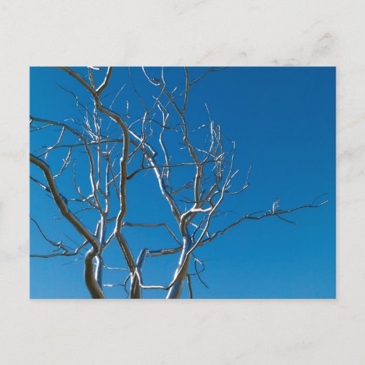 Saint Louis Art Museum Sculpture Briefkaart (Voorkant)