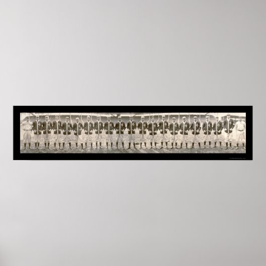 Saint Louis Browns Foto 1909 Poster (Voorkant)