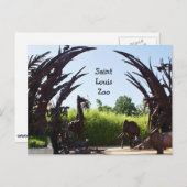 Saint Louis Zoo Briefkaart (Voorkant / Achterkant)