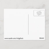 Saint Louis Zoo Briefkaart (Achterkant)