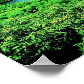Saint Lucia de Pitons Poster (Hoek)