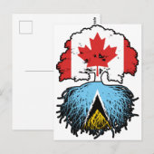 Saint Lucia Saint Lucian Canadian Canada Tree Root Briefkaart (Voorkant / Achterkant)