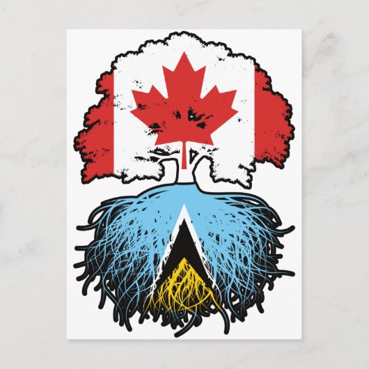 Saint Lucia Saint Lucian Canadian Canada Tree Root Briefkaart (Voorkant)