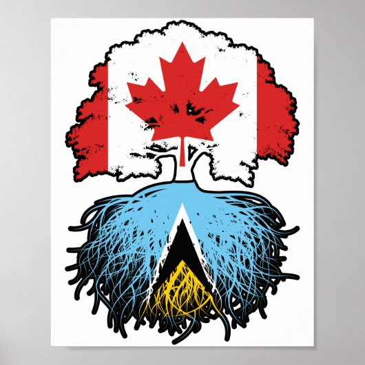 Saint Lucia Saint Lucian Canadian Canada Tree Root Poster (Voorkant)