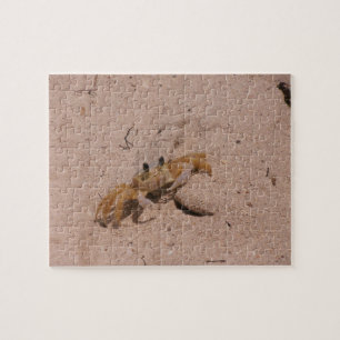 Saint Lucian Crab Puzzle Legpuzzel