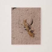 Saint Lucian Crab Puzzle Legpuzzel (Verticaal)