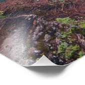 Saint Mary-Herfsten in het Glacier National Park i Foto Afdruk (Hoek)