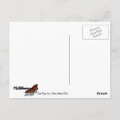 Saint Mary Lake I in Glacier National Park Briefkaart (Achterkant)