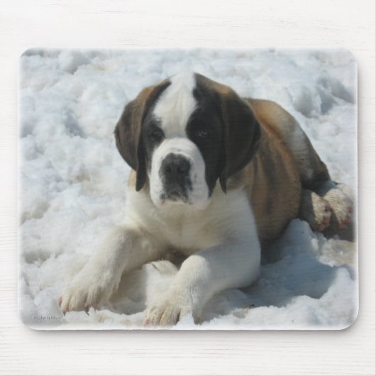Saint_mousepad Muismat (Voorkant)