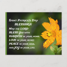 Saint Patrick's Day Blessings Briefkaart