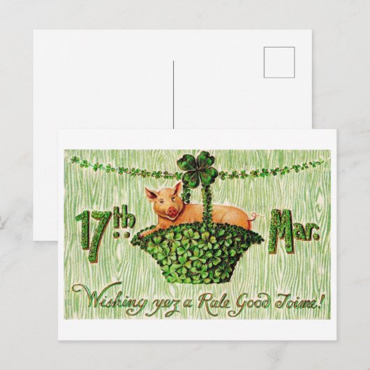 Saint Patrick's Day Lucky Pig,  Briefkaart (Voorkant / Achterkant)