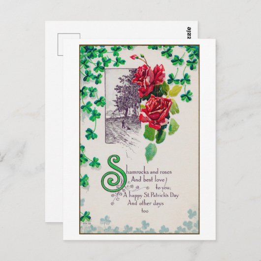 Saint Patrick's Day Roos,  Briefkaart (Voorkant / Achterkant)