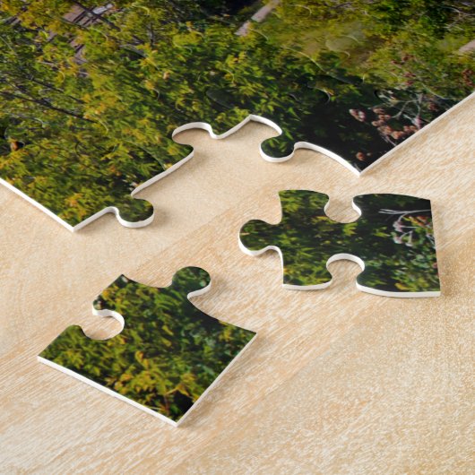 Saint Paul Minnesota. Legpuzzel (Zijkant)