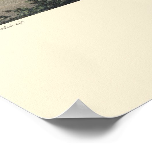 Saint Paul, MN Panoramic Map - 1853 Poster (Hoek)