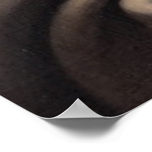 SAINT-ROOS LIMA POSTER (Hoek)