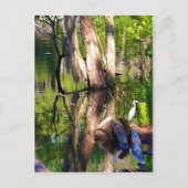 Saint Simons Island, GA Lagoon en Egret Briefkaart (Voorkant)