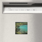 Saint Thomas Magnet (Insitu (Vaatwasser))