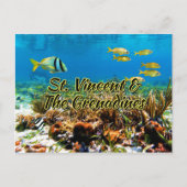 Saint Vincent en de Grenadines Briefkaart (Voorkant)