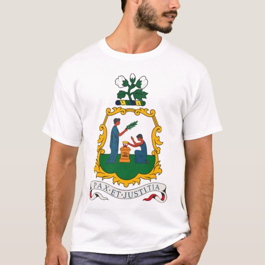 Saint Vincent en de Grenadines, joodse munt van wa T-shirt (Voorkant)