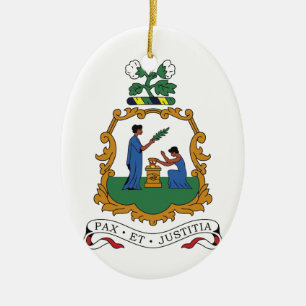 Saint Vincent en de Grenadines Wapenmunt Keramisch Ornament