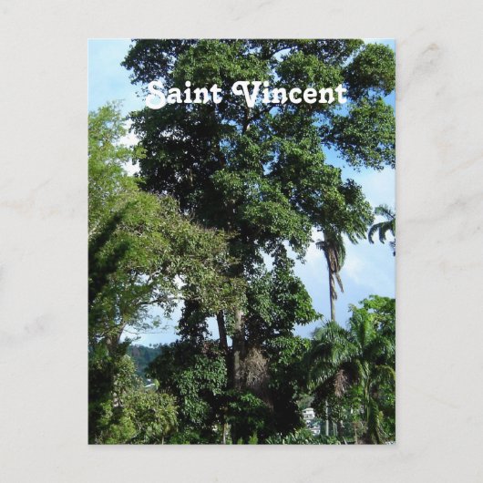Saint Vincent Island Briefkaart (Voorkant)