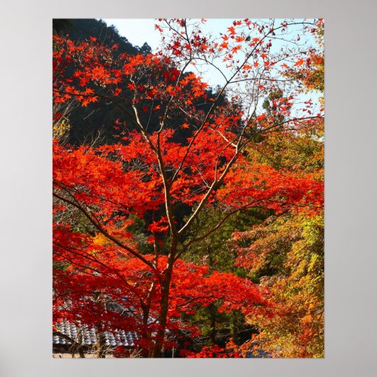 Saitama Prefecture, Japan Poster (Voorkant)