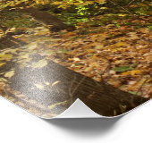 Sakatah Singing Hills State Trail Foto afdrukken (Hoek)