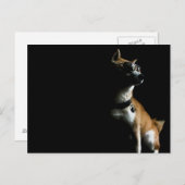 Saké Suave Briefkaart (Voorkant / Achterkant)