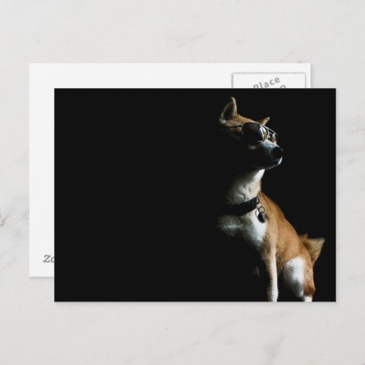 Saké Suave Briefkaart (Voorkant / Achterkant)